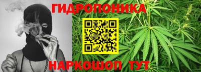 молекула духа Краснознаменск