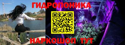 молекула духа Краснознаменск