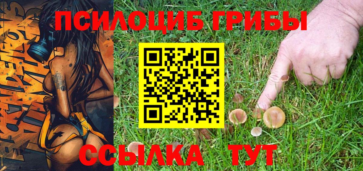 Краснокаменск  Псилоцибиновые грибы Magic Shrooms  Вход с VPN  Псилоцибиновые грибы Cubensis 